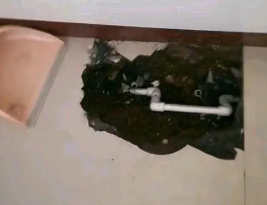 弋江卫生间测漏水多少钱